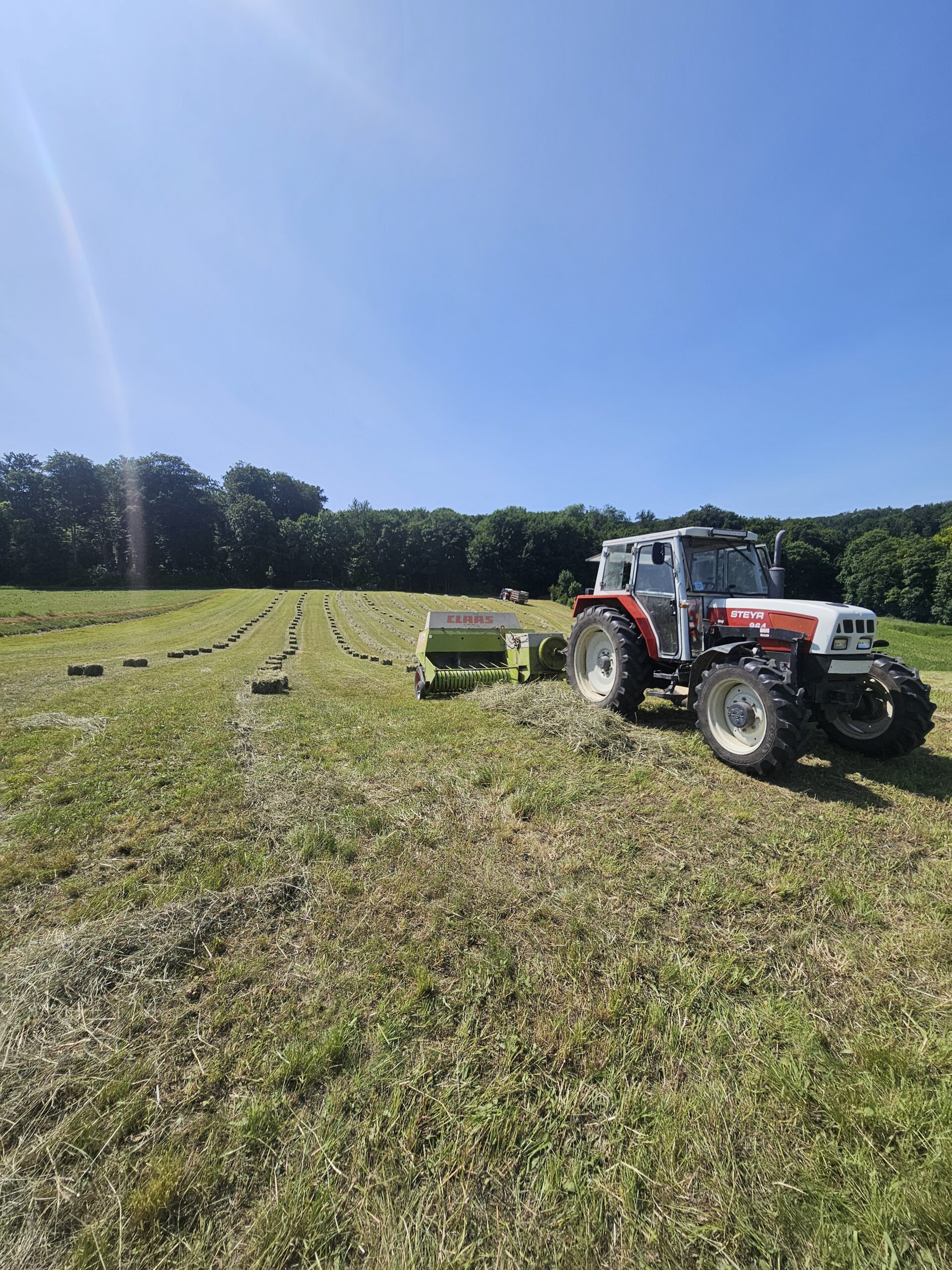 Frisch eingebracht! Erste Heuernte 2025 – Kleinballen im Trockenen 🌿☀️
