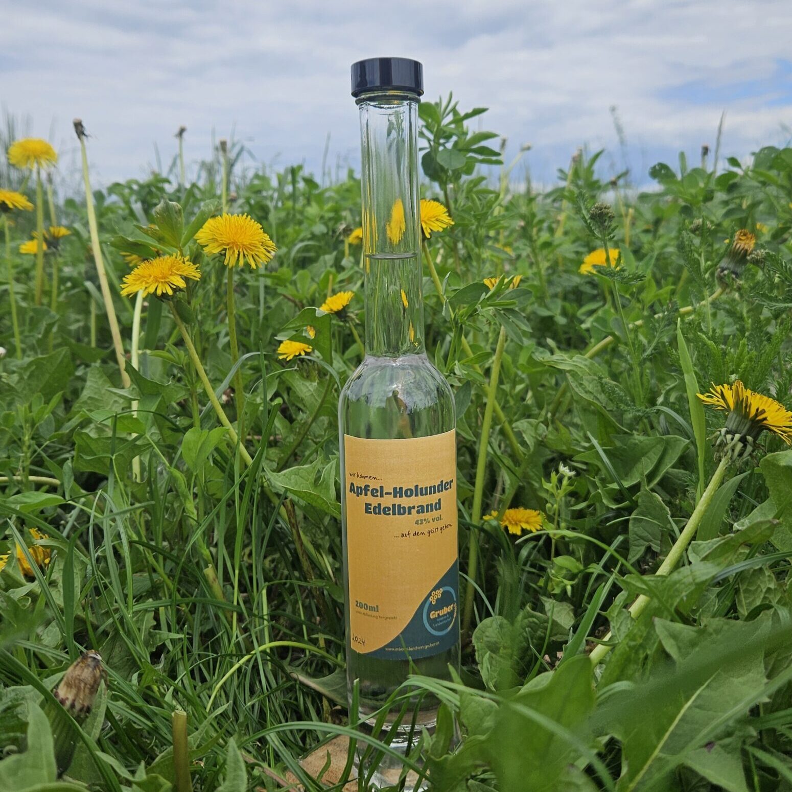 Apfel-Holunder Edelbrand